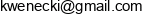 Karol Wenecki Business Consulting Email address