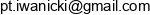 Navigare Pawel Iwanicki Business Consultancy Adres e-mail