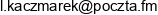 Diginn Lukasz Kaczmarek Email address