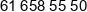 Euro Solution Phone