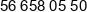 Autosar Wielunski Phone 1
