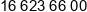 Sanmar Synergia Phone