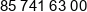 Bison Phone 1
