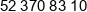 Plichta Auto Phone