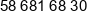 Firma Handlowa Bat Phone 2