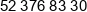 Zs Projekt Phone 1