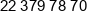 Eveco Phone 1