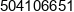 Dom Art Krzysztof Janas Phone 1