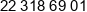 Revi Kompania Deweloperska Phone 1