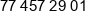 Netceed Phone 1