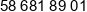 Pendulum Instruments Phone