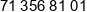 Bestgo Pl Phone 1