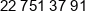Domin Consulting Phone 1