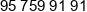 Biomasa Kowalow Phone 1