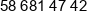 Polservice Phone 1