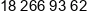 Ai Development Phone 24