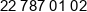 W W Investment Wisniewscy Phone 1