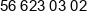 Torimpex Trade Phone 1