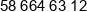Polytechnik Polska Phone 1