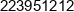 Artur Slesik Web Net Phone 1