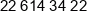 Athenasoft Phone Athenasoft Phone