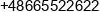 P H Lomb Art Piotr Kurdziel Phone
