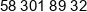 Skandius Phone