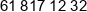 Biernat Phone 1