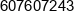 Agata Botko Phone 1