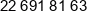 Cega Phone 1