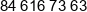 Cyberteam Phone 1