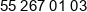 Wh Technologies Phone 1