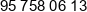 Foliarex Phone 1