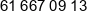 Nenya Capital Phone