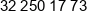 Wolfs Development Phone 1