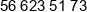 Hbot Phone 1